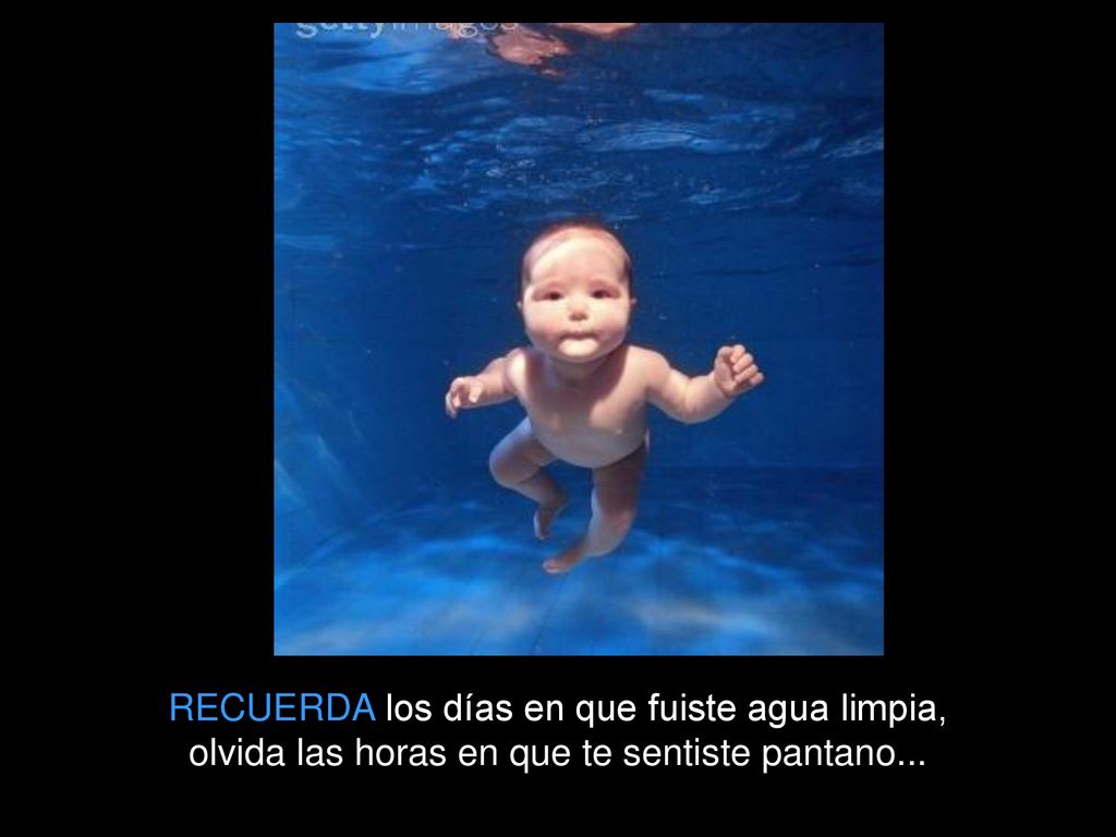 RECUERDA los días en que fuiste agua limpia, olvida las horas en que te sentiste pantano...