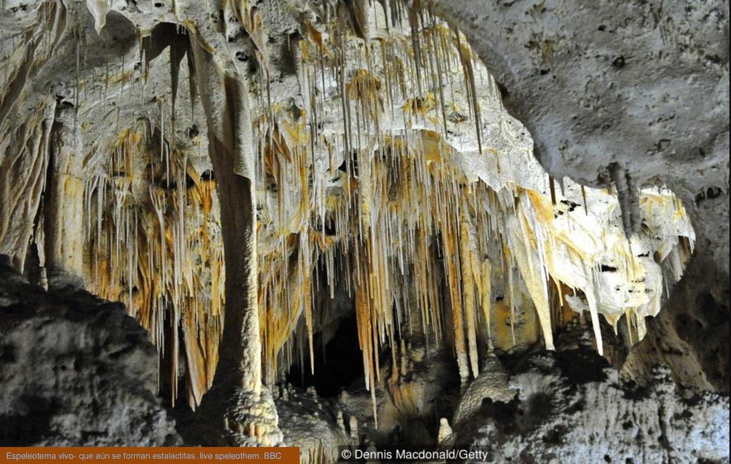 Espeleotema vivo- que aún se forman estalactitas..live speleothem. BBC