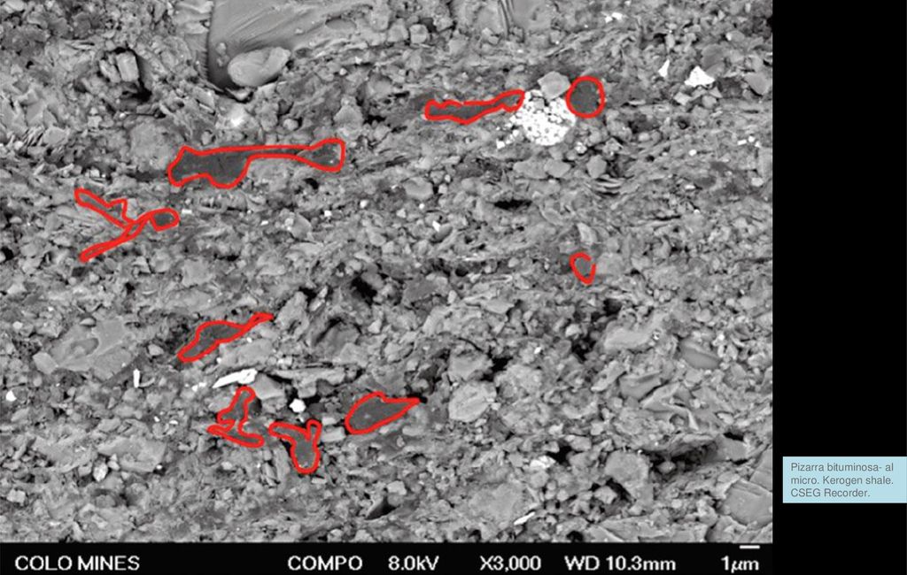 Pizarra bituminosa- al micro. Kerogen shale. CSEG Recorder.