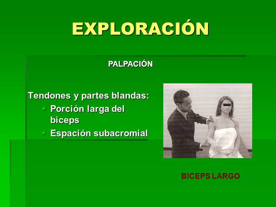 EXPLORACIÓN Tendones y partes blandas: Porción larga del biceps
