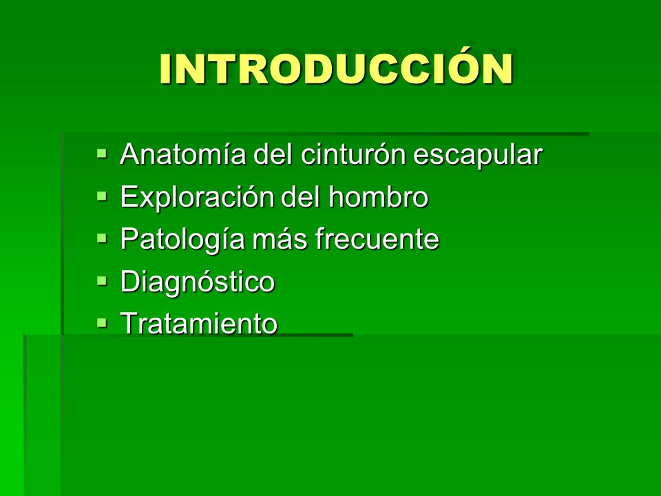 INTRODUCCIÓN Anatomía del cinturón escapular Exploración del hombro