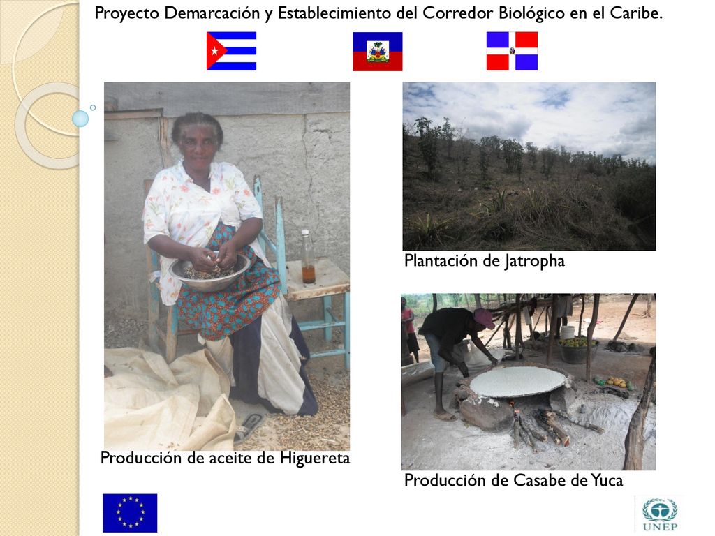 Proyecto Demarcación y Establecimiento del Corredor Biológico en el Caribe.