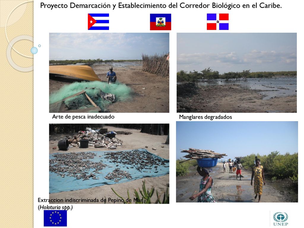 Proyecto Demarcación y Establecimiento del Corredor Biológico en el Caribe.