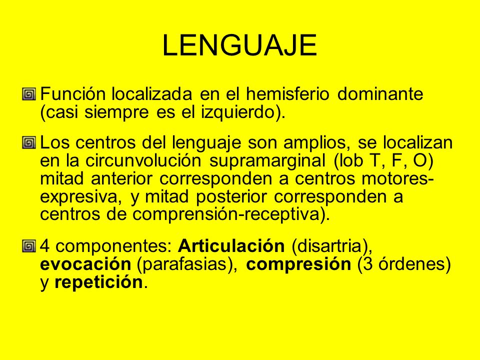 LENGUAJE Función localizada en el hemisferio dominante (casi siempre es el izquierdo).