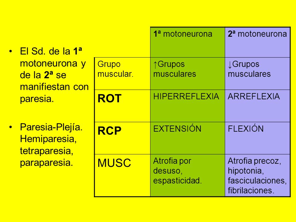 1ª motoneurona 2ª motoneurona. Grupo muscular. ↑Grupos musculares. ↓Grupos musculares. ROT. HIPERREFLEXIA.