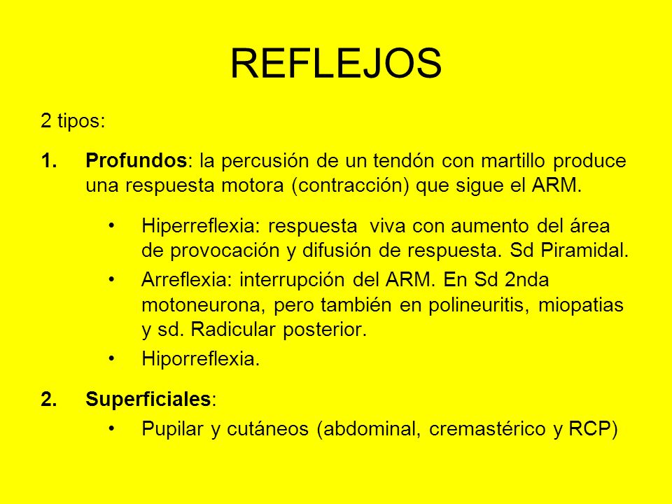 REFLEJOS 2 tipos: Profundos: la percusión de un tendón con martillo produce una respuesta motora (contracción) que sigue el ARM.