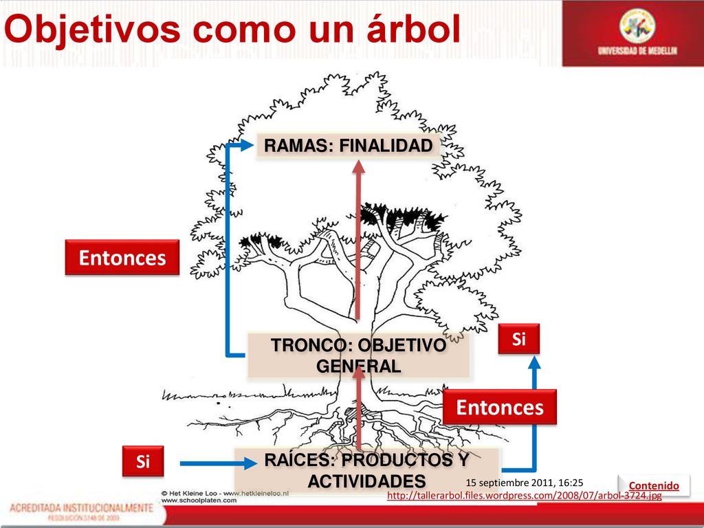 TRONCO: OBJETIVO GENERAL RAÍCES: PRODUCTOS Y ACTIVIDADES