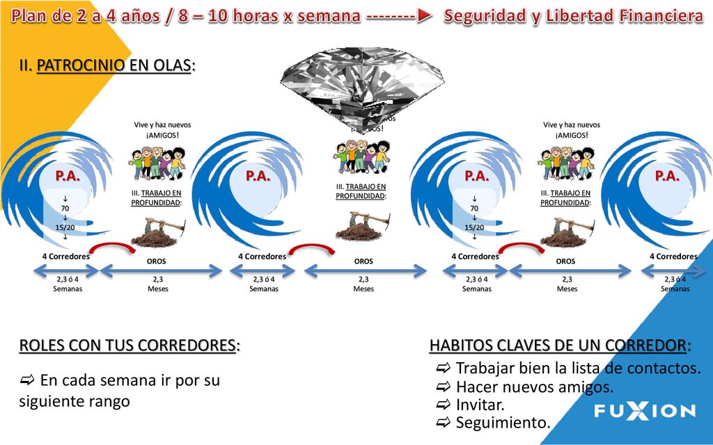 Plan de 2 a 4 años / 8 – 10 horas x semana ►