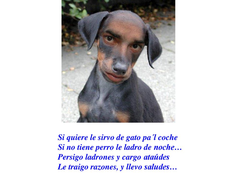 Si quiere le sirvo de gato pa´l coche Si no tiene perro le ladro de noche… Persigo ladrones y cargo ataúdes Le traigo razones, y llevo saludes…