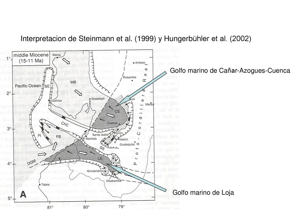 Interpretacion de Steinmann et al. (1999) y Hungerbühler et al. (2002)