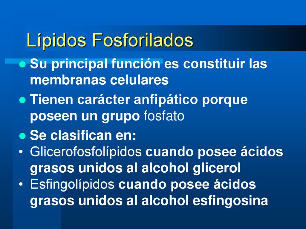 Lípidos Fosforilados Su principal función es constituir las membranas celulares. Tienen carácter anfipático porque poseen un grupo fosfato.
