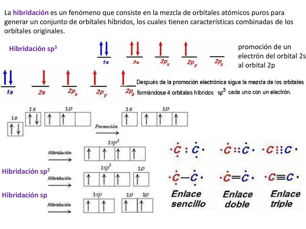 La hibridación es un fenómeno que consiste en la mezcla de orbítales atómicos puros para generar un conjunto de orbítales híbridos, los cuales tienen características combinadas de los orbítales originales.