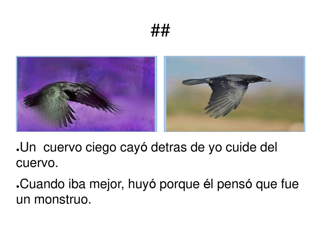 ## Un cuervo ciego cayó detras de yo cuide del cuervo.