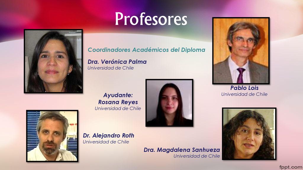 Profesores Coordinadores Académicos del Diploma Dra. Verónica Palma