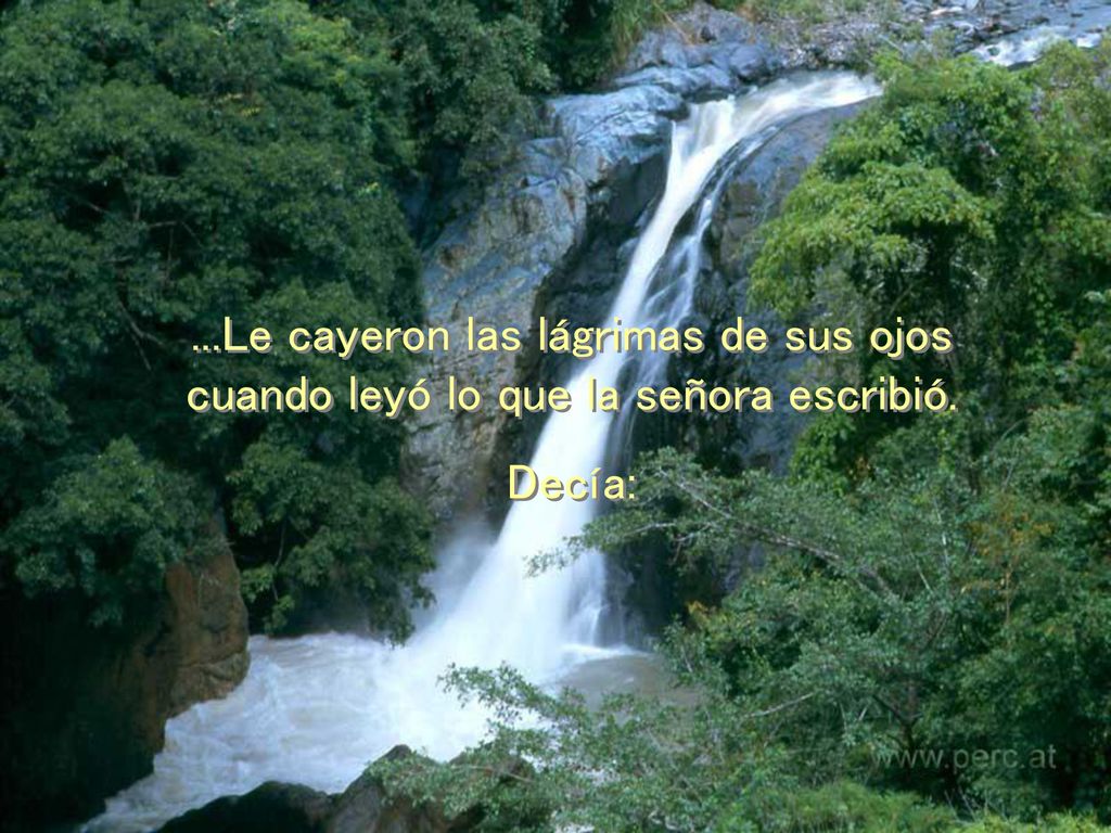 ...Le cayeron las lágrimas de sus ojos cuando leyó lo que la señora escribió.