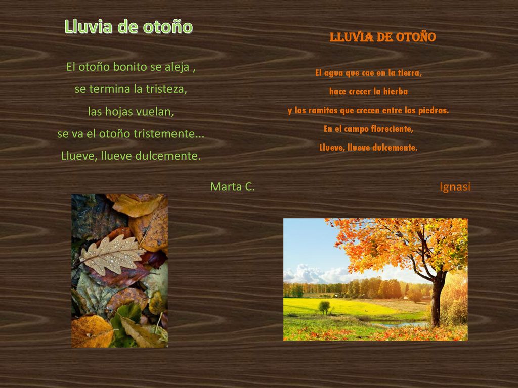 Lluvia de otoño Lluvia de otoño El otoño bonito se aleja ,