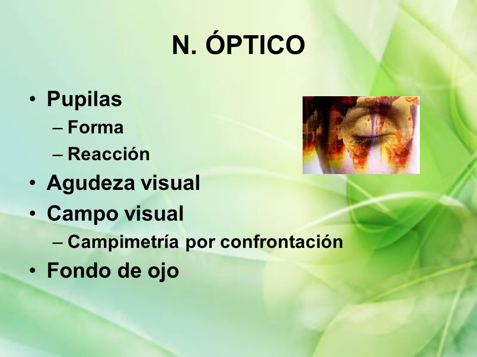N. ÓPTICO Pupilas Agudeza visual Campo visual Fondo de ojo Forma