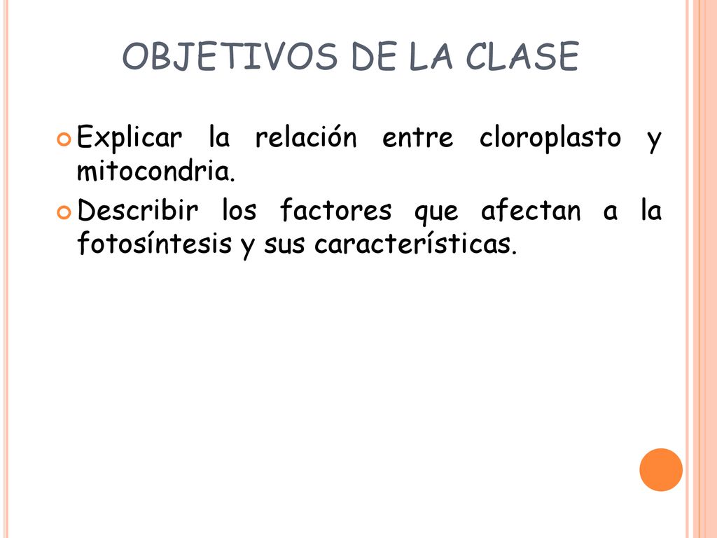 OBJETIVOS DE LA CLASE Explicar la relación entre cloroplasto y mitocondria.