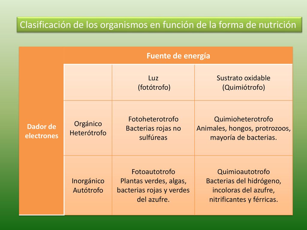 Clasificación de los organismos en función de la forma de nutrición