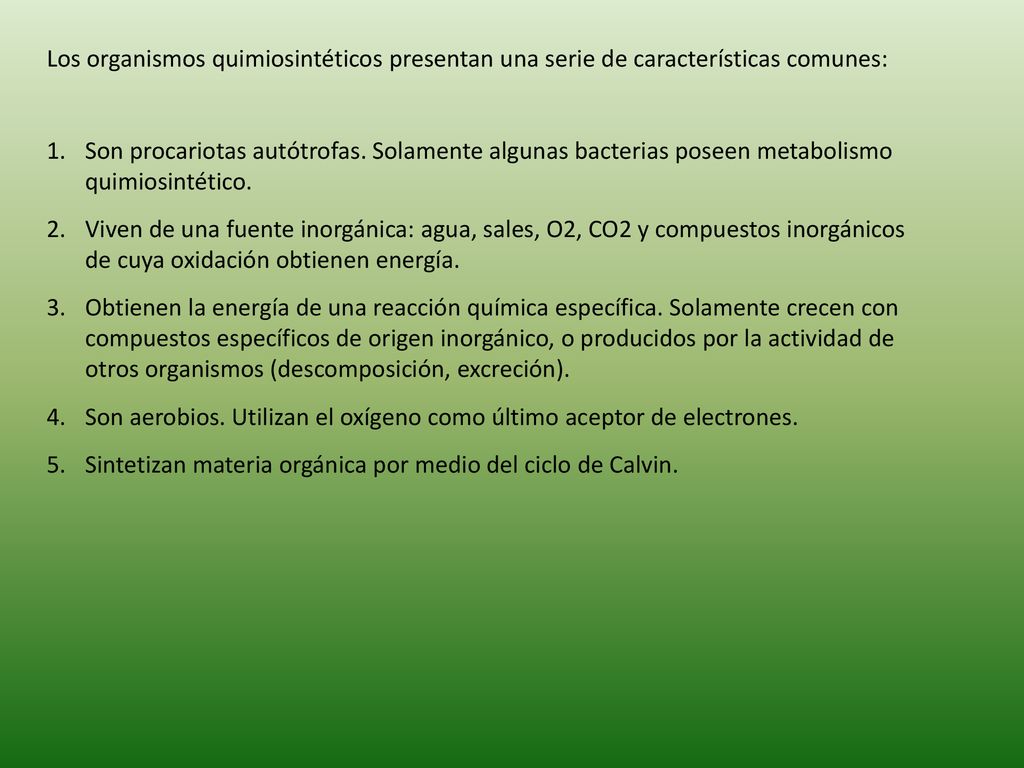 Los organismos quimiosintéticos presentan una serie de características comunes: