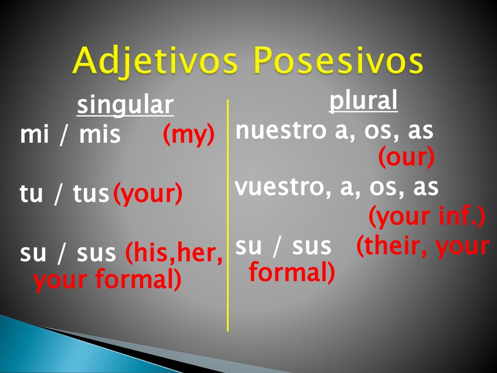 singular mi / mis (my) tu / tus (your) su / sus (his,her, your formal)