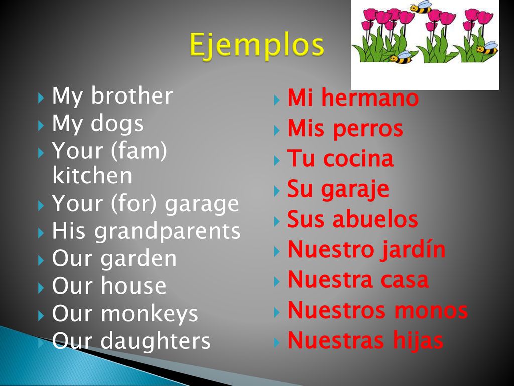 Ejemplos My brother My dogs Your (fam) kitchen Your (for) garage