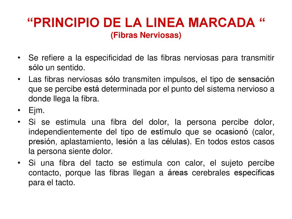 PRINCIPIO DE LA LINEA MARCADA (Fibras Nerviosas)