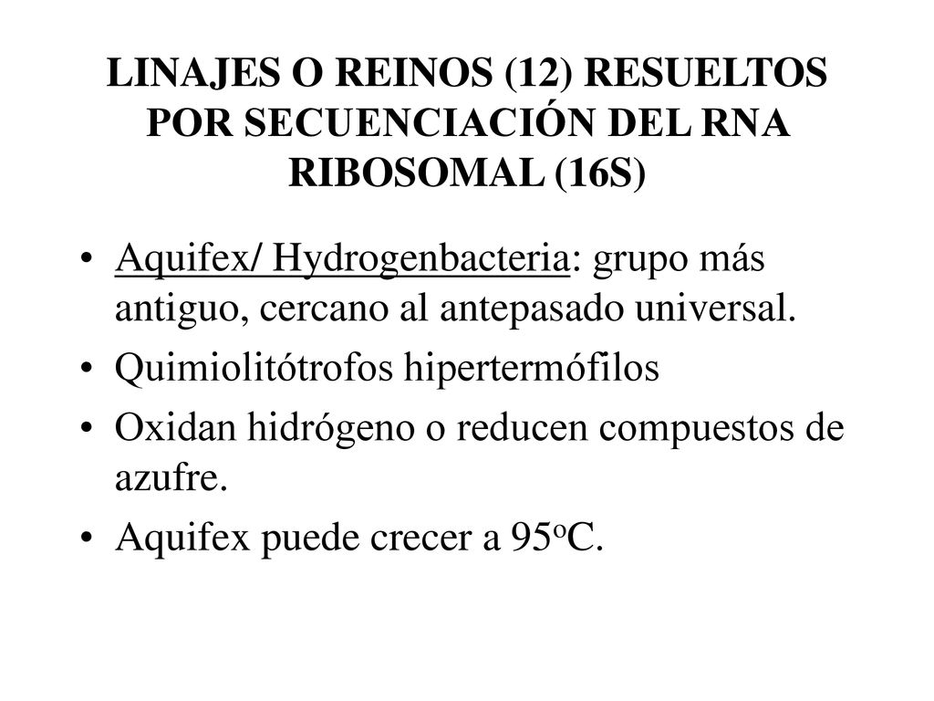 LINAJES O REINOS (12) RESUELTOS POR SECUENCIACIÓN DEL RNA RIBOSOMAL (16S)