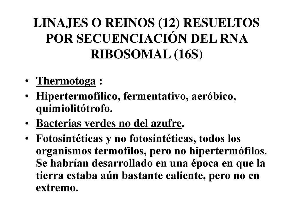 LINAJES O REINOS (12) RESUELTOS POR SECUENCIACIÓN DEL RNA RIBOSOMAL (16S)
