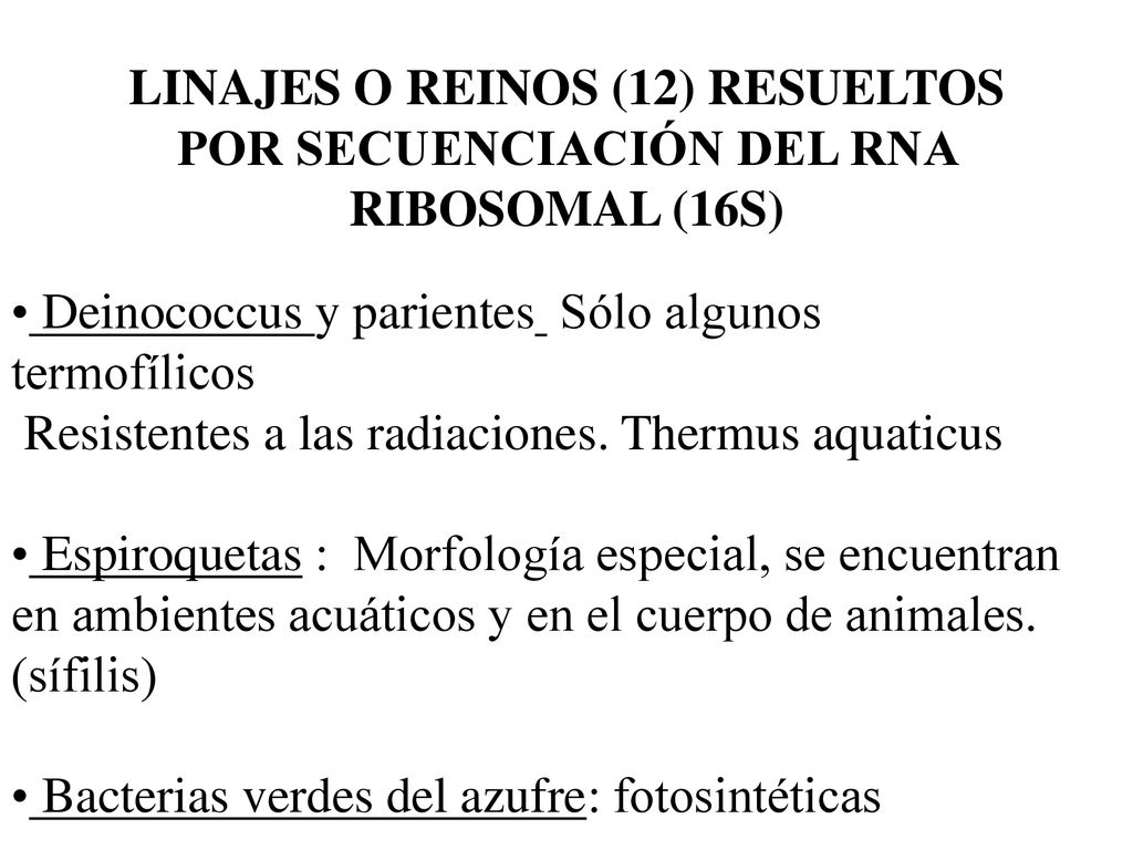 LINAJES O REINOS (12) RESUELTOS POR SECUENCIACIÓN DEL RNA RIBOSOMAL (16S)