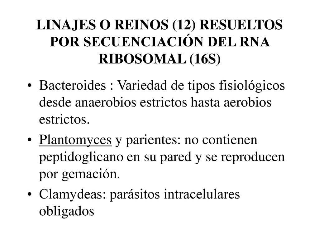 LINAJES O REINOS (12) RESUELTOS POR SECUENCIACIÓN DEL RNA RIBOSOMAL (16S)
