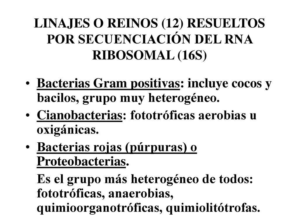 LINAJES O REINOS (12) RESUELTOS POR SECUENCIACIÓN DEL RNA RIBOSOMAL (16S)