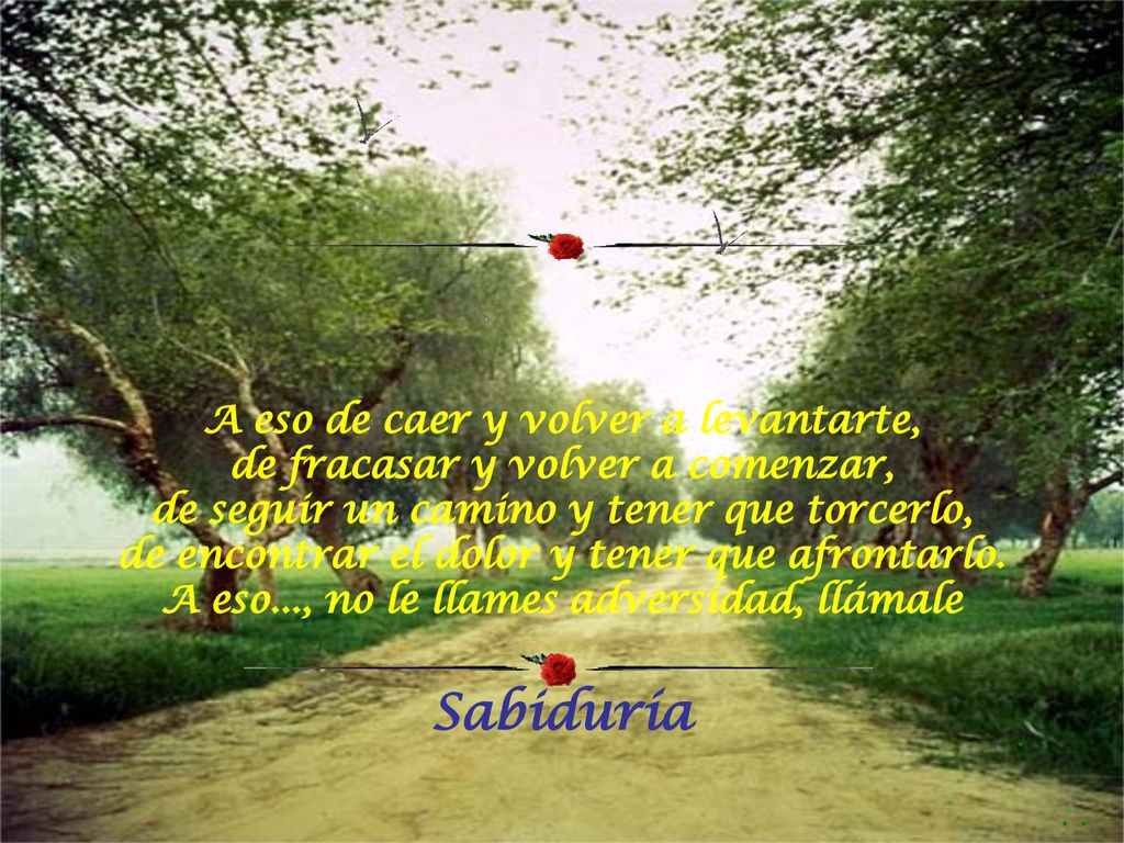 A eso de caer y volver a levantarte, de fracasar y volver a comenzar, de seguir un camino y tener que torcerlo, de encontrar el dolor y tener que afrontarlo. A eso..., no le llames adversidad, llámale