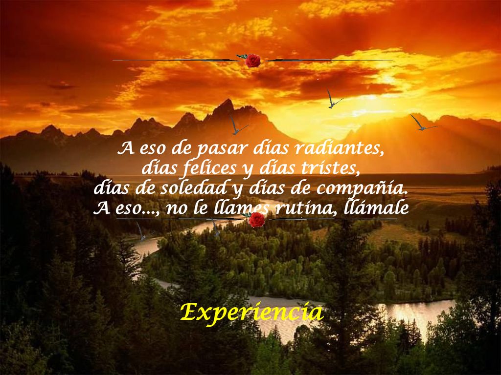 A eso de pasar días radiantes, días felices y días tristes, días de soledad y días de compañía. A eso..., no le llames rutina, llámale