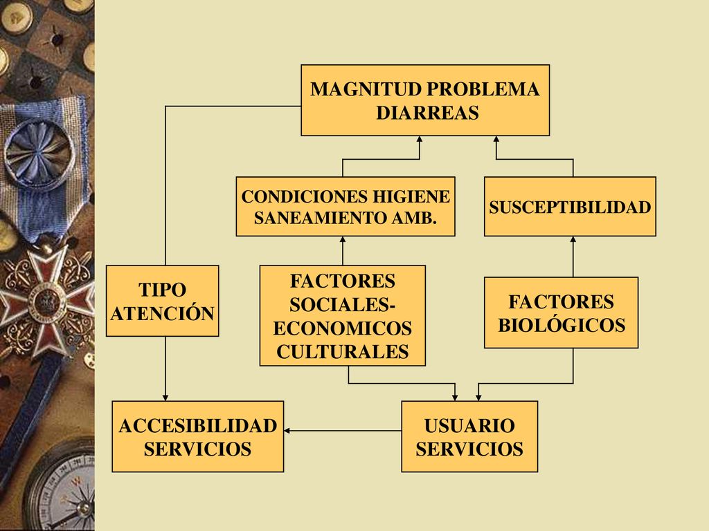 MAGNITUD PROBLEMA DIARREAS TIPO ATENCIÓN FACTORES SOCIALES- ECONOMICOS