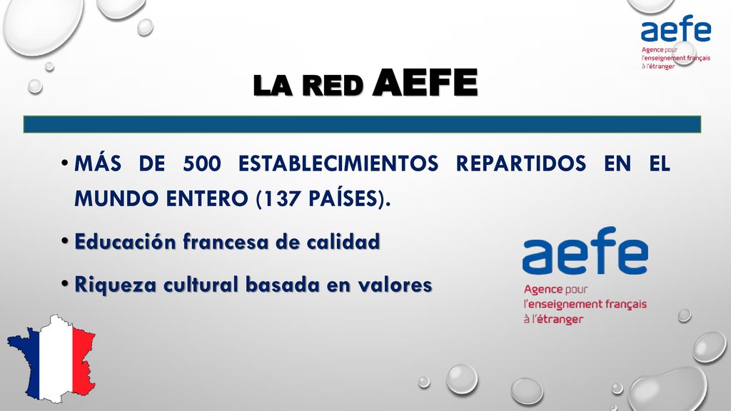LA RED AEFE Más de 500 establecimientos repartidos en el mundo entero (137 países). Educación francesa de calidad.