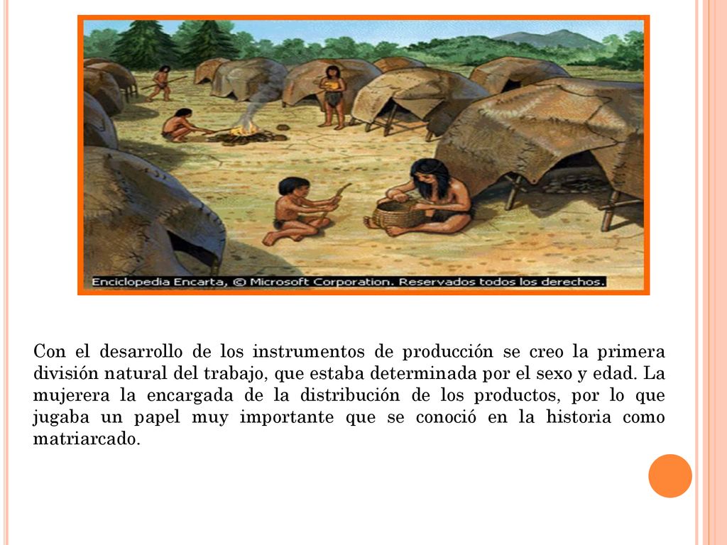 Con el desarrollo de los instrumentos de producción se creo la primera división natural del trabajo, que estaba determinada por el sexo y edad.