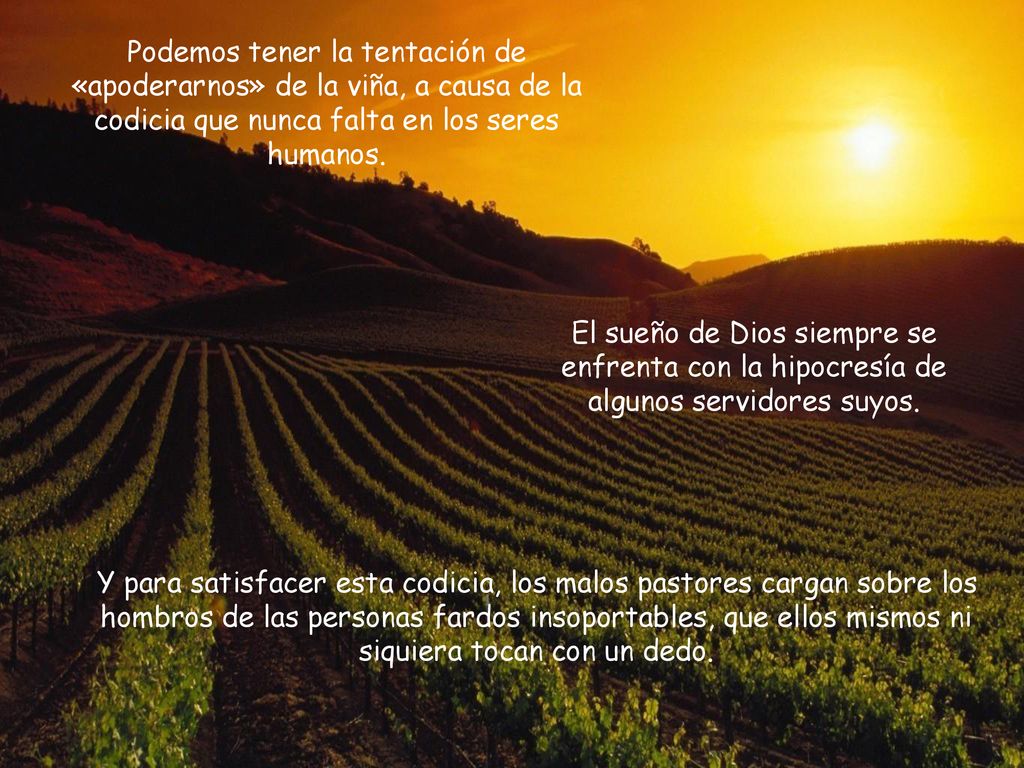 Podemos tener la tentación de «apoderarnos» de la viña, a causa de la codicia que nunca falta en los seres humanos.