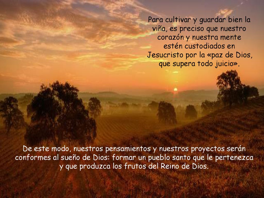 Para cultivar y guardar bien la viña, es preciso que nuestro corazón y nuestra mente estén custodiados en Jesucristo por la «paz de Dios, que supera todo juicio».