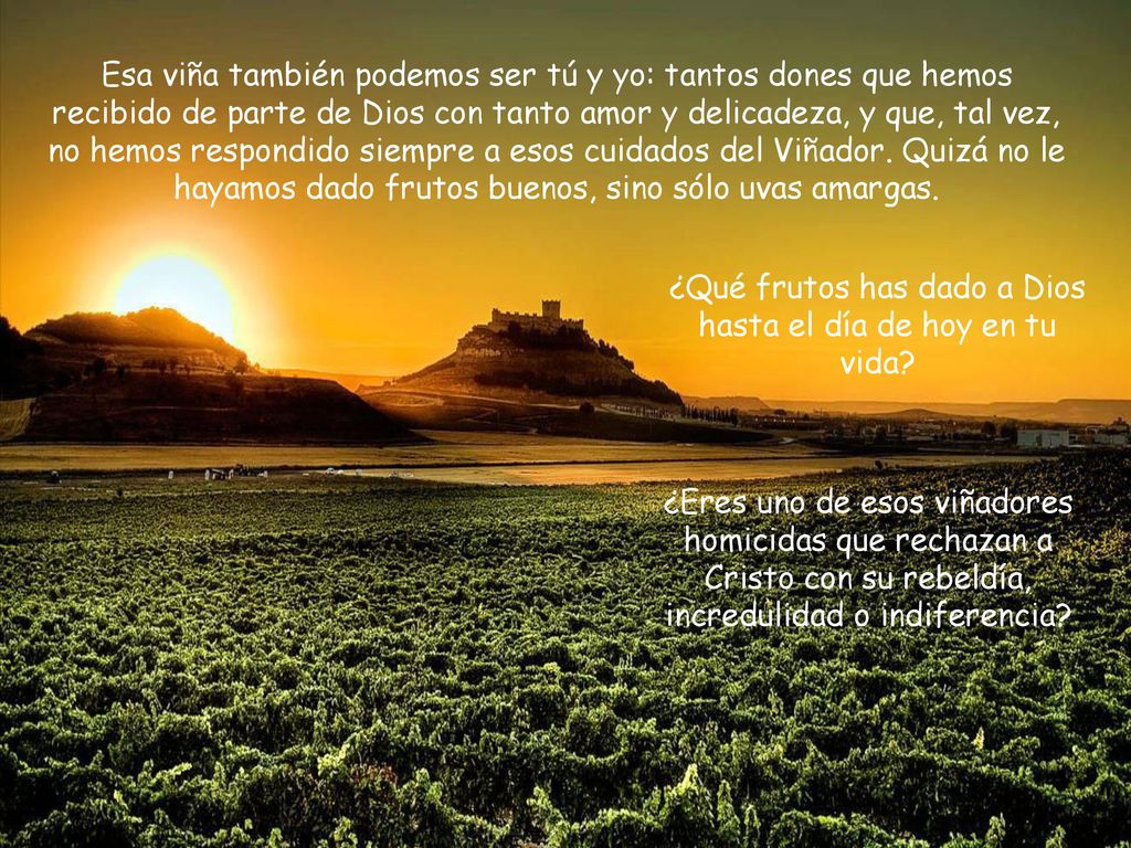 ¿Qué frutos has dado a Dios hasta el día de hoy en tu vida