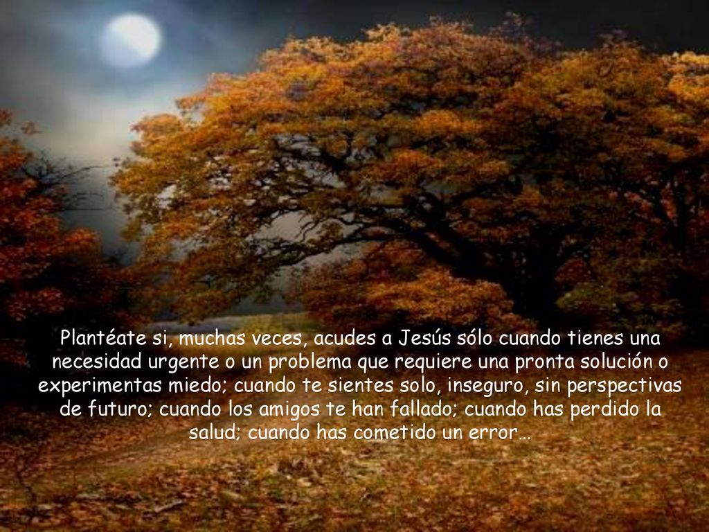 Plantéate si, muchas veces, acudes a Jesús sólo cuando tienes una necesidad urgente o un problema que requiere una pronta solución o experimentas miedo; cuando te sientes solo, inseguro, sin perspectivas de futuro; cuando los amigos te han fallado; cuando has perdido la salud; cuando has cometido un error…