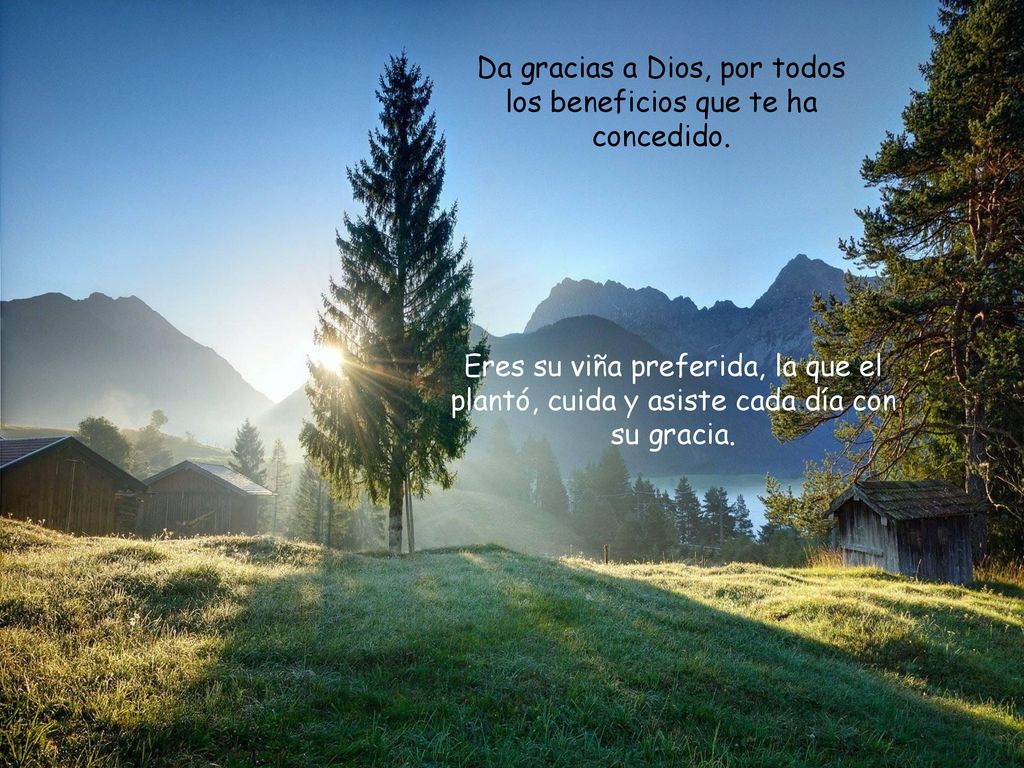 Da gracias a Dios, por todos los beneficios que te ha concedido.