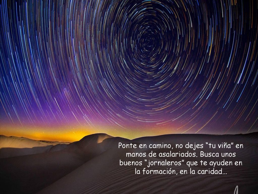 Ponte en camino, no dejes tu viña en manos de asalariados