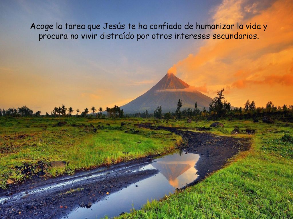Acoge la tarea que Jesús te ha confiado de humanizar la vida y procura no vivir distraído por otros intereses secundarios.