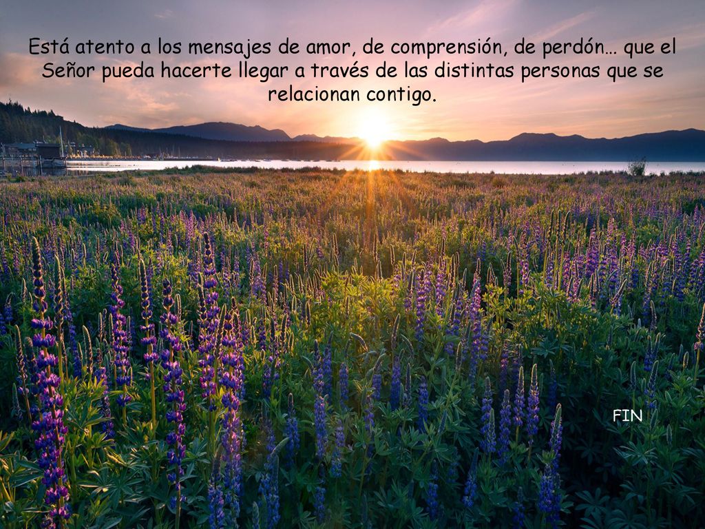 Está atento a los mensajes de amor, de comprensión, de perdón… que el Señor pueda hacerte llegar a través de las distintas personas que se relacionan contigo.