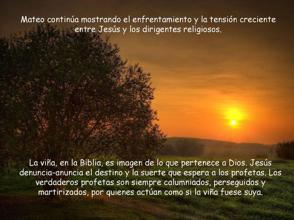 Mateo continúa mostrando el enfrentamiento y la tensión creciente entre Jesús y los dirigentes religiosos.