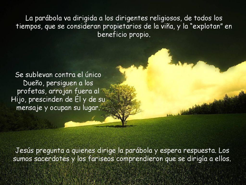 La parábola va dirigida a los dirigentes religiosos, de todos los tiempos, que se consideran propietarios de la viña, y la explotan en beneficio propio.