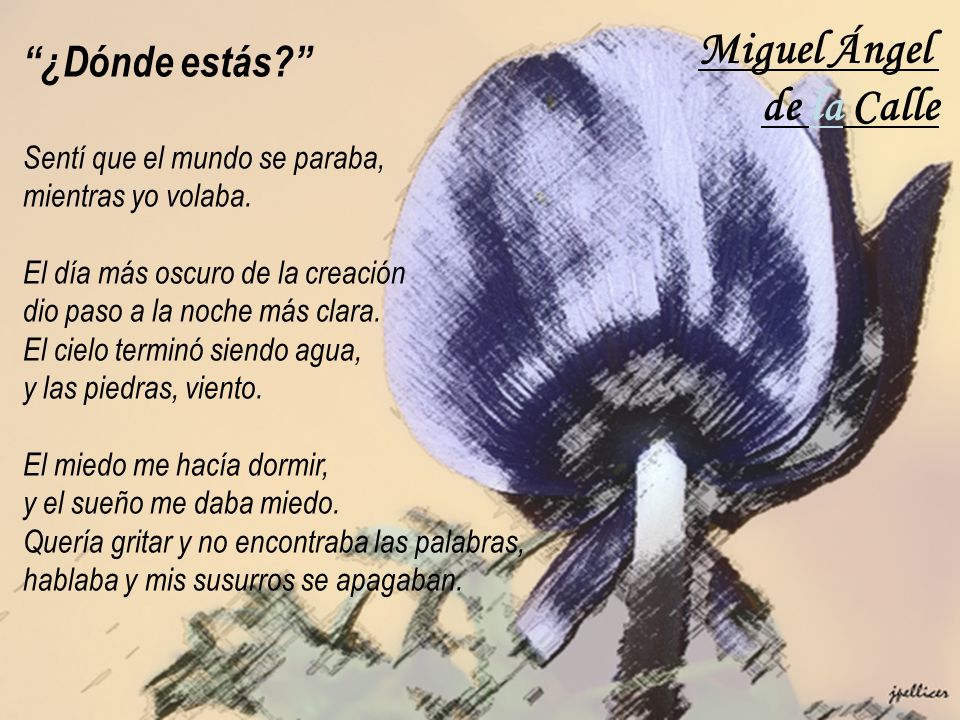 Miguel Ángel de la Calle ¿Dónde estás Sentí que el mundo se paraba,
