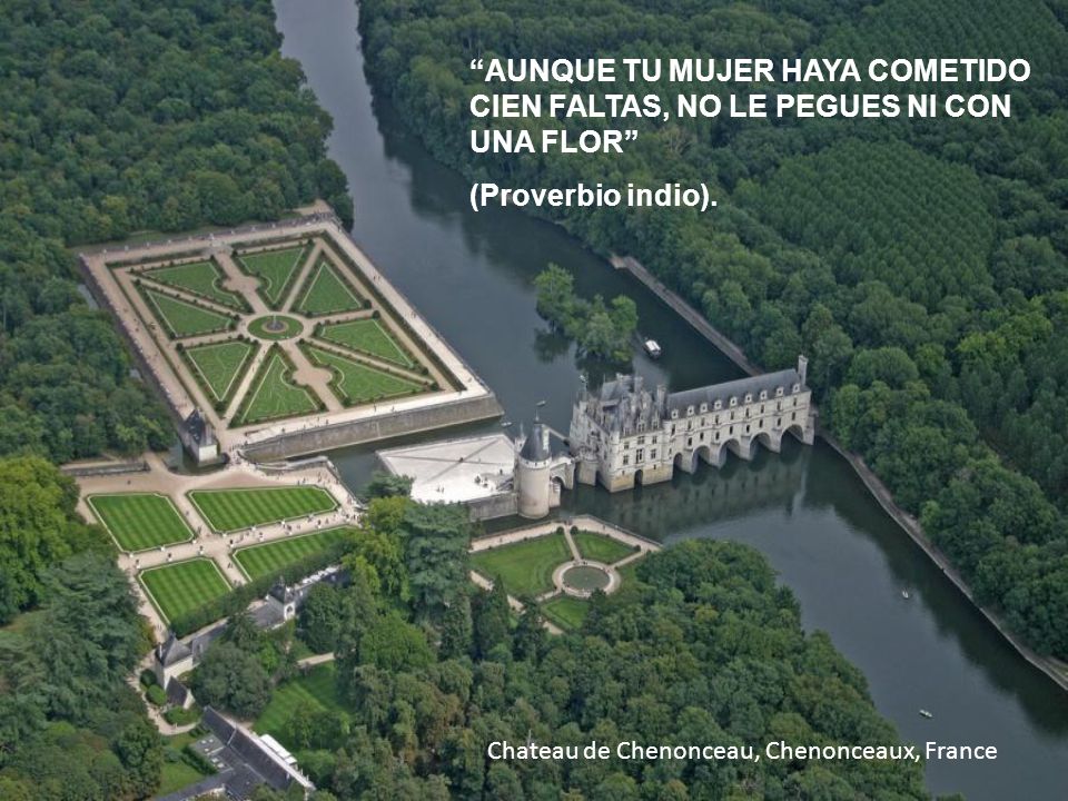 AUNQUE TU MUJER HAYA COMETIDO CIEN FALTAS, NO LE PEGUES NI CON UNA FLOR
