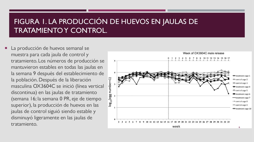 Figura 1. La producción de huevos en jaulas de tratamiento y control.